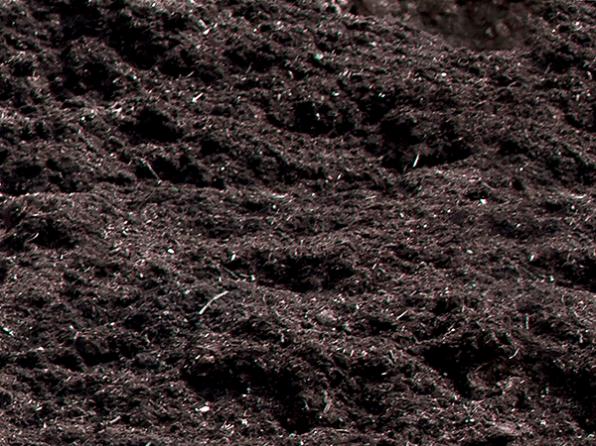 «БиоГрунт» - доставка низинного торфа от 10 кубов